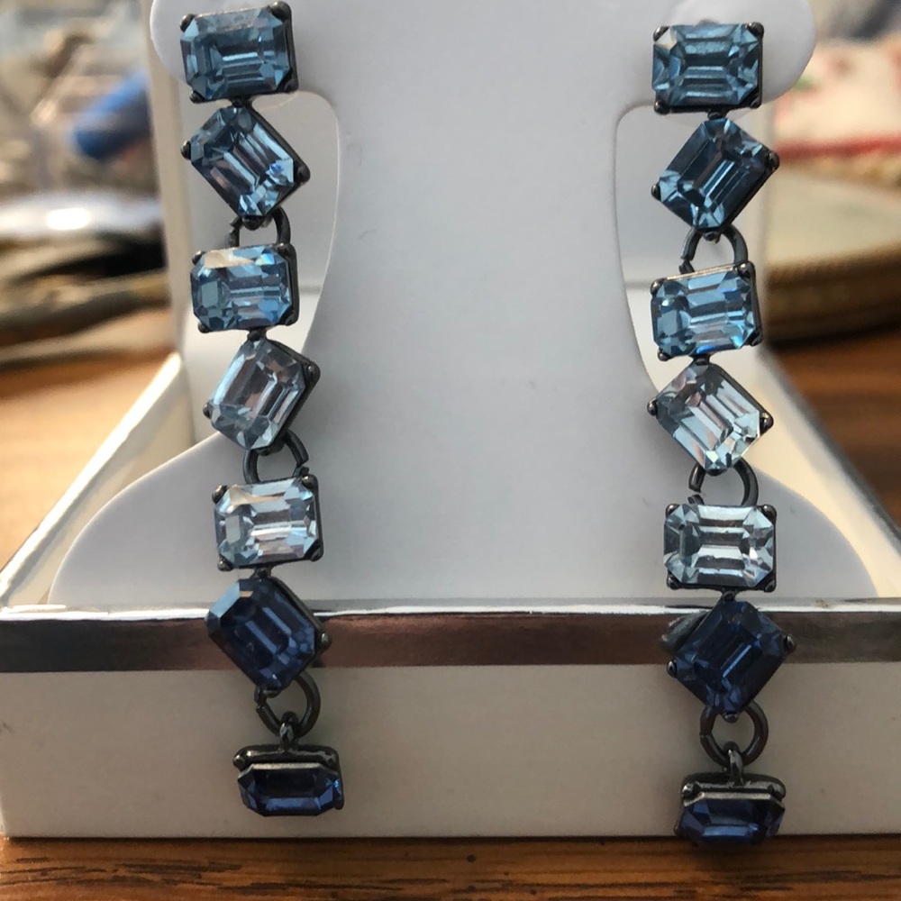 Blue dangly earrings